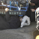 Illustration for article titled 24 Hours Of LeMons Arse Freeze-A-Palooza Über Gallery: Mazda Madness